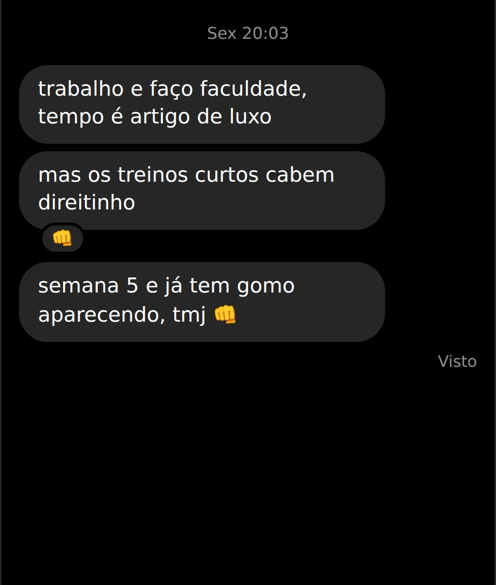 Conversa do Instagram 7, com identidade do cliente ocultada